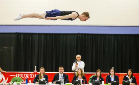 Trampoline banner image